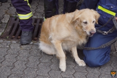 A5 DSC02391 (Kopie)