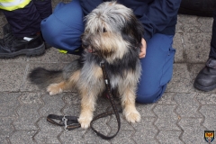 A6 DSC02392 (Kopie)
