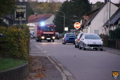 DSC02932 (Kopie)neu