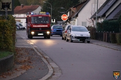 DSC02933 (Kopie)neu