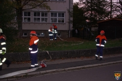 DSC02952 (Kopie)