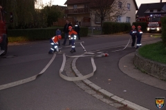 DSC02954 (Kopie)