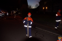 DSC03038 (Kopie)