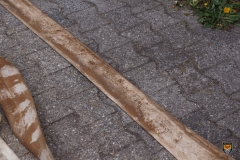 DSC00473 (Kopie)