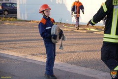 DSC05898 (Kopie)