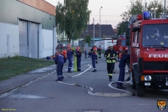 DSC05999 (Kopie)