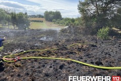 2019-08-09-Flächenbrand-Lb8-2-Kopie