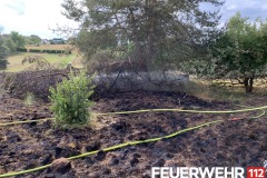 2019-08-09-Flächenbrand-Lb8-3-Kopie