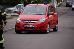 DSC08757-Kopie