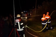 DSC00085-Kopie