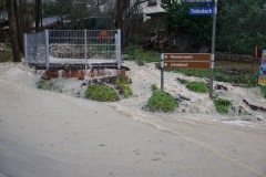 DSC00526-Kopie