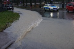 DSC00550-Kopie
