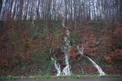 DSC00563-Kopie