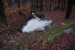 DSC00572-Kopie