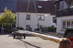 DSC00314 (Kopie)