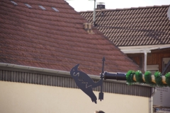 DSC00318 (Kopie)