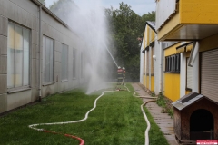 IMG_4194