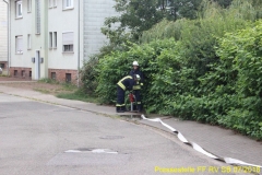 49 (Kopie)